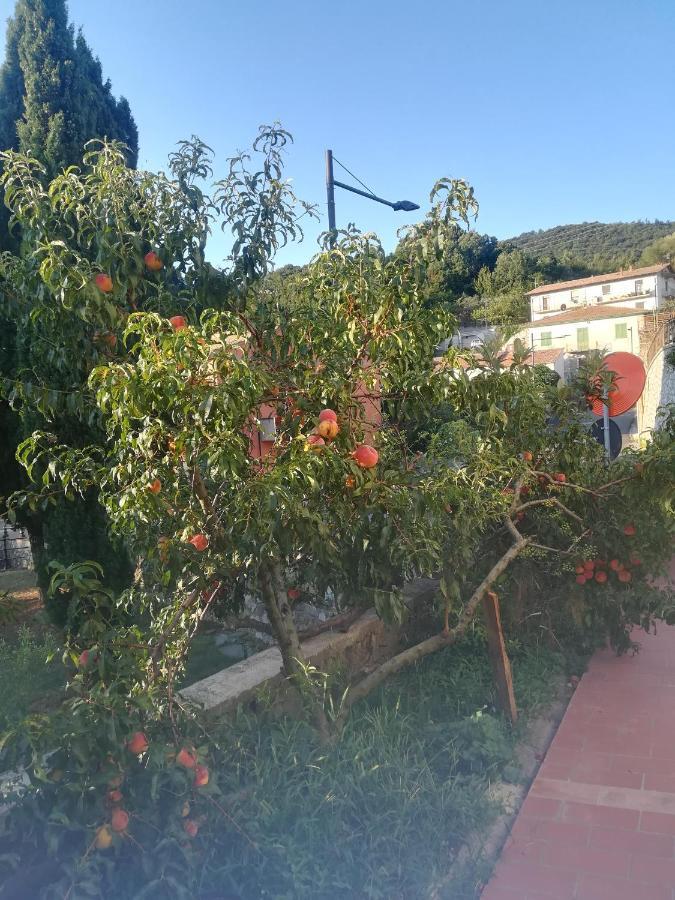 La Vecchia Locanda Кастельнуово-ді-Валь-ді-Чечина Екстер'єр фото